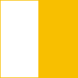 Bicolour White Yellow4
