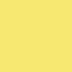 95 Yellow