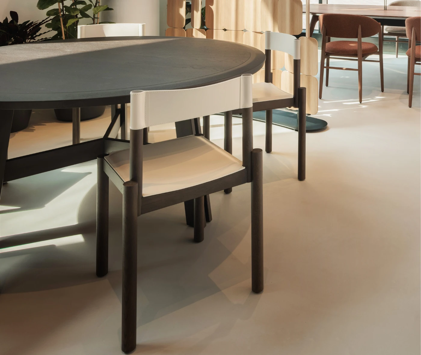 True Adinne chairs in showroon setting with dark timber finishes and leather backrests.