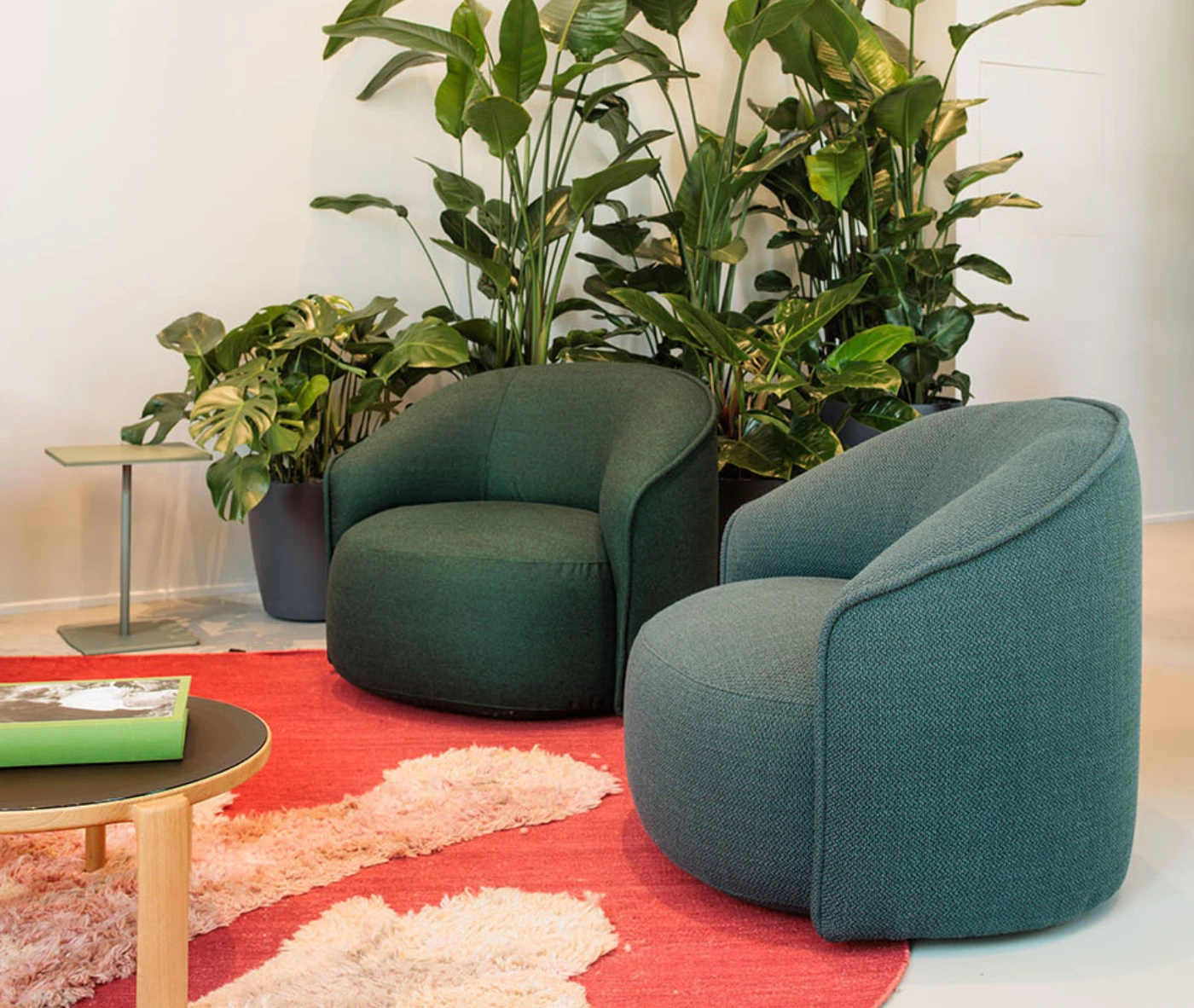 True Sibillino lounge chairs in a showroom setting with rounded upholstered forms.