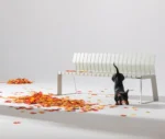 Urbantime Liberty.080 outdoor bench in a studio setting with autumn leaves and playful dog.