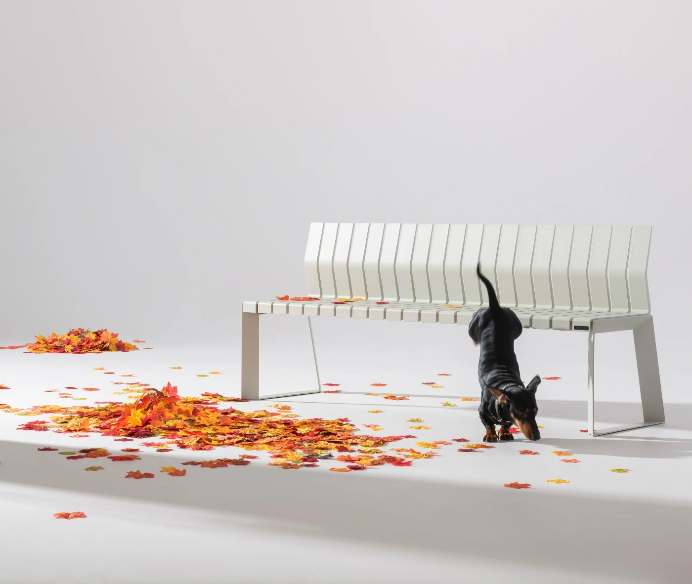 Urbantime Liberty.080 outdoor bench in a studio setting with autumn leaves and playful dog.