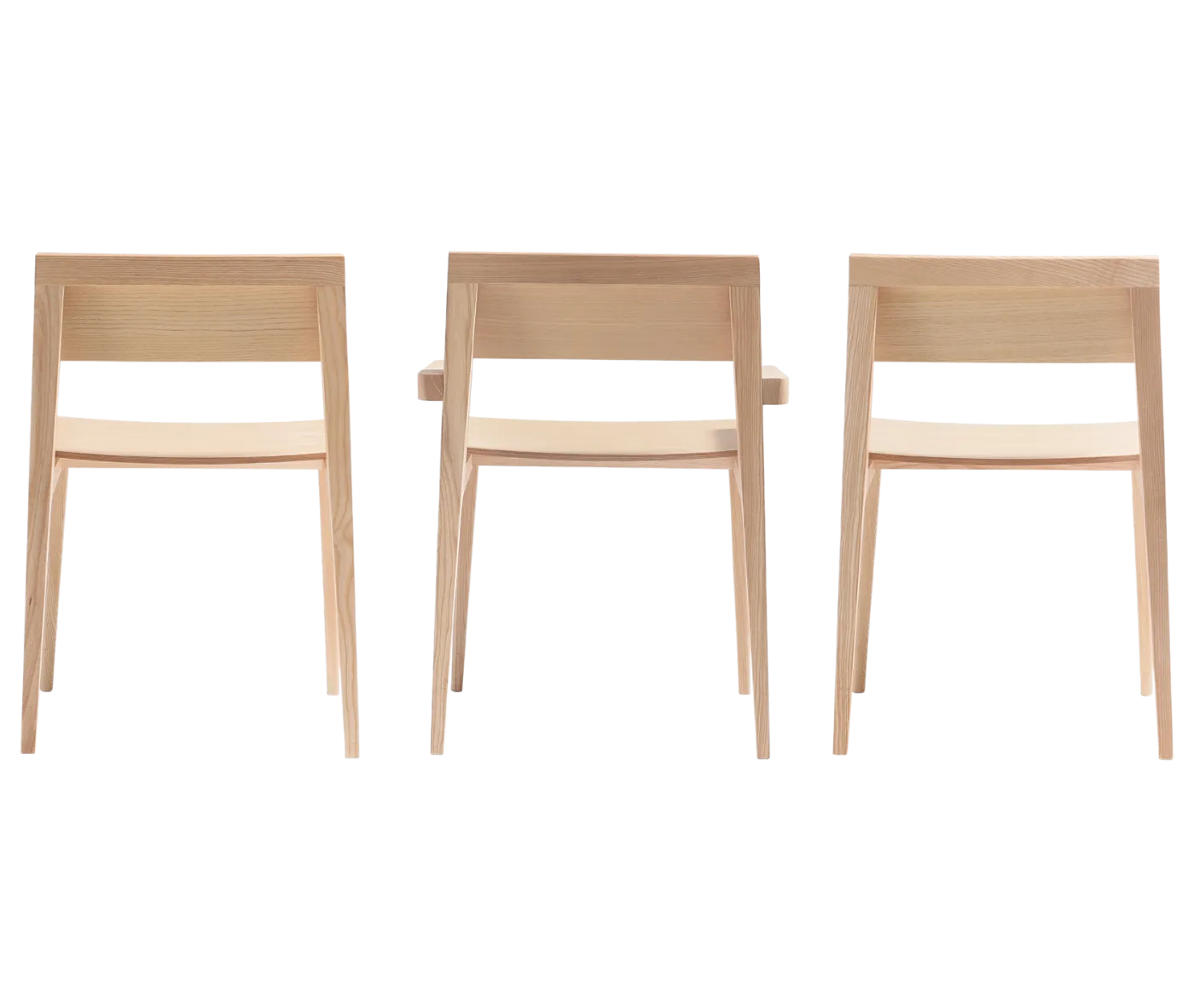 Cizeta Derby 2601 hospitality chairs shown lined up side by side with light ash timber frames.