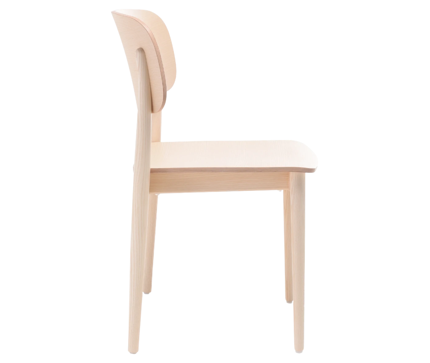 Cizeta Grado 2541 hospitality chair in right-side view light timber frame and rounded-rectangle backrest.