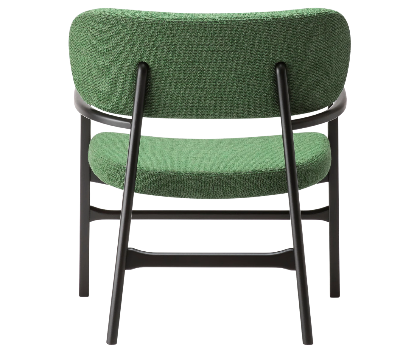 P4 Annalisa L2 lounge chair in back view, upholstered seat and backrest, and dark timber frame.