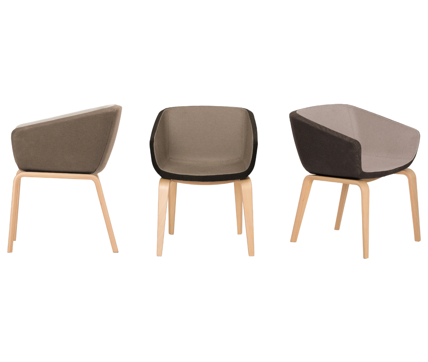 True Arca chairs lined up, with fully upholstered shell on natural timber four-leg base.