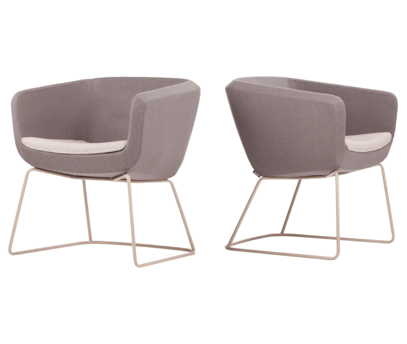 True Arca chairs with dark beige fully upholstered shell, white seat pad, and metal sled base.